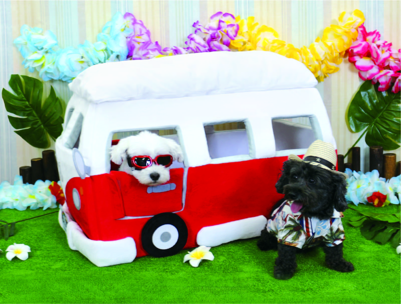 株式会社リアル