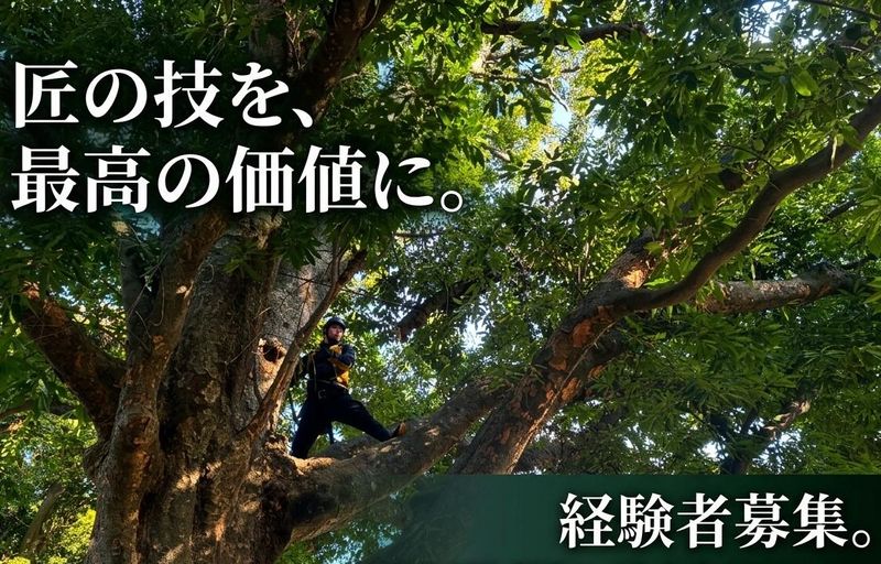 株式会社ヤマトの求人・転職情報