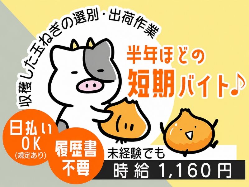 株式会社KOGのアルバイト・バイト求人情報-02