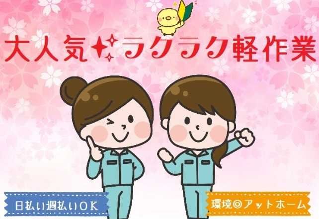株式会社ヒューマンアイ 厚木