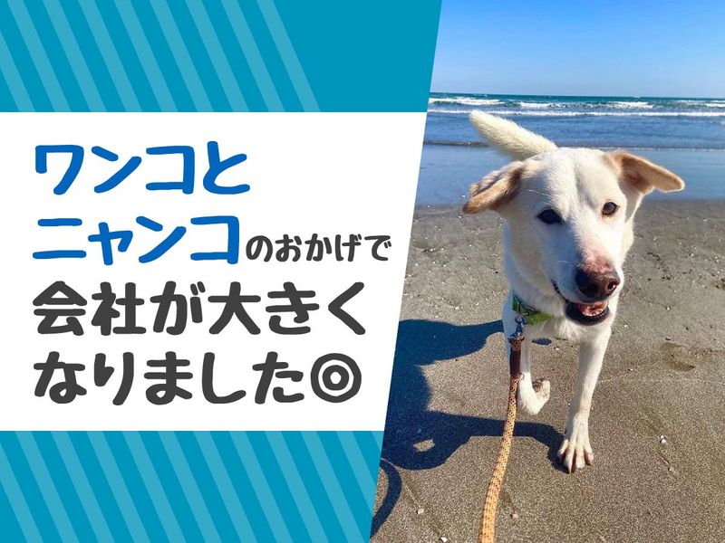 UMIホールディングス株式会社　本社のアルバイト・バイト求人情報-02