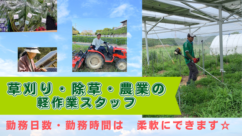 株式会社ビジネスサポートの求人・転職情報