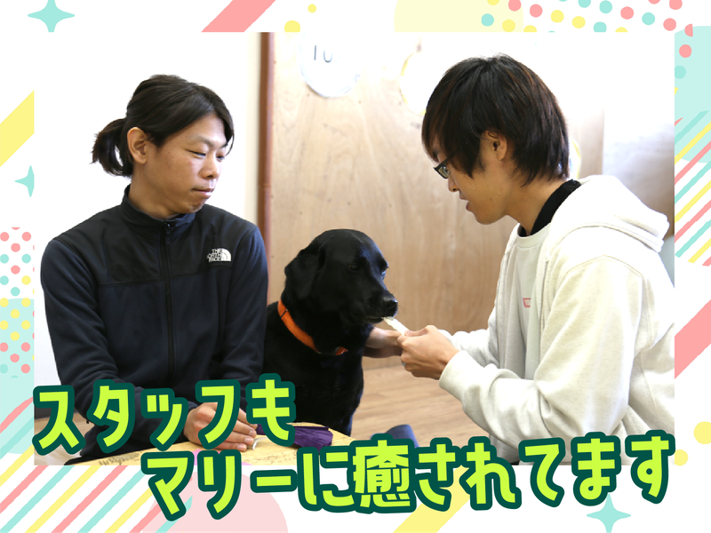 放課後等デイサービス　グロース水川Ⅱのアルバイト・バイト求人情報-03