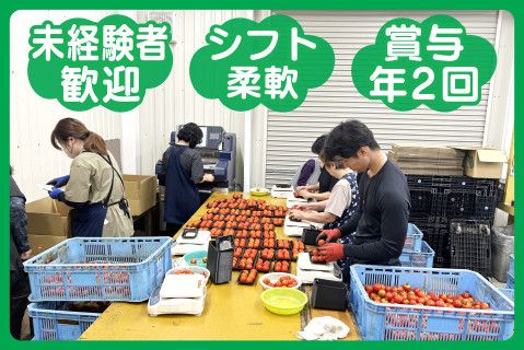 株式会社フレッシュダイレクトの求人・転職情報