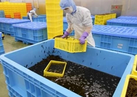 株式会社壮関の求人・転職情報