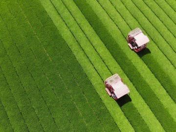 鹿児島堀口製茶有限会社の求人・転職情報