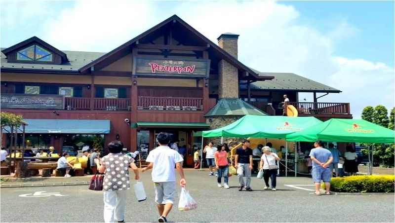 ピーターパン　小麦の郷店(鎌ケ谷)のアルバイト・バイト求人情報-04