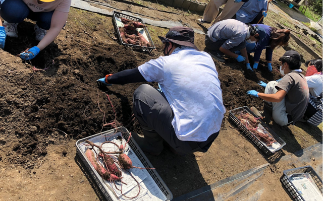 株式会社ＴＮプランテーションの求人・転職情報