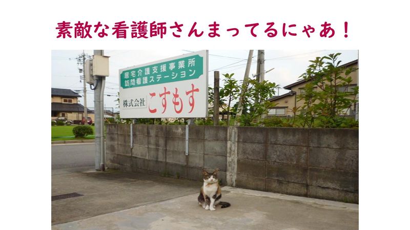 こすもす訪問看護ステーション金沢のアルバイト・バイト求人情報-04