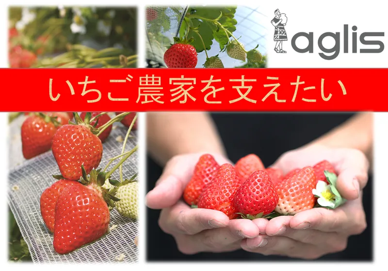株式会社アグリス