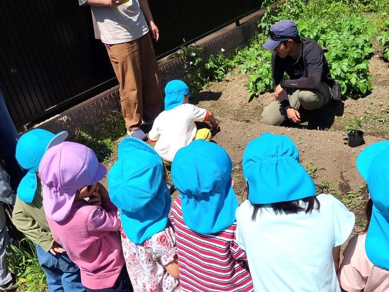 八王子ひまわり保育園(社会福祉法人 竜光会)のアルバイト・バイト求人情報-02