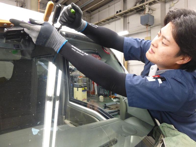 ワカシマオートガラス株式会社の求人・転職情報