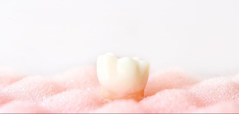 玉岡歯科医院の求人・転職情報