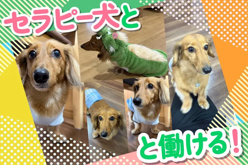 株式会社スマイルらいふけあの求人・転職情報