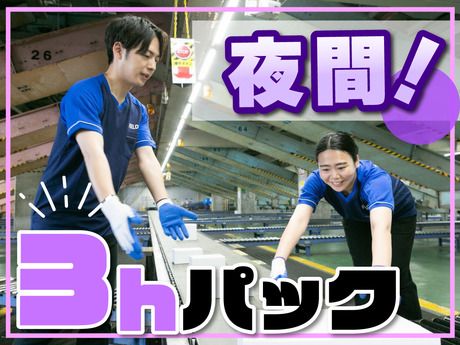 SGフィルダー株式会社 大阪エリア　/W23679-210
