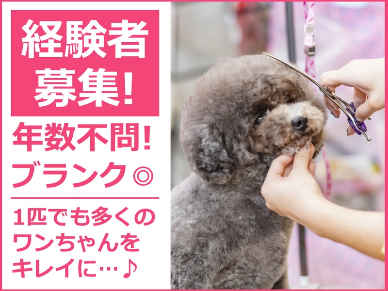 ペットサロン　テディーハウスの求人・転職情報