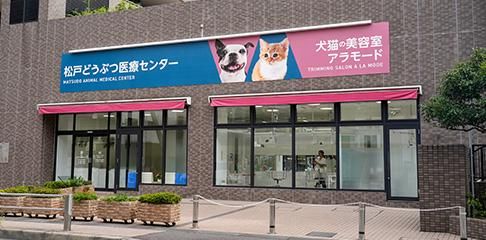 松戸どうぶつ医療センターの求人・転職情報