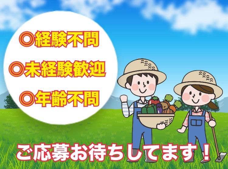 塩沢江戸川荘のアルバイト・バイト求人情報-04