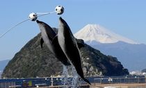伊豆箱根鉄道株式会社のアルバイト・バイト求人情報-02