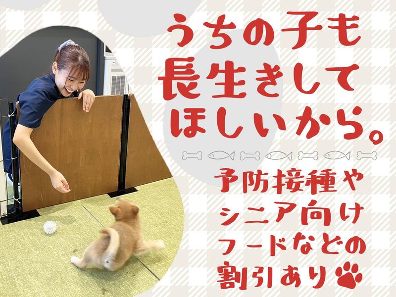 株式会社犬の家-0034の求人・転職情報