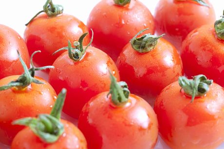 エスエスパートナー株式会社のアルバイト・バイト求人情報-02