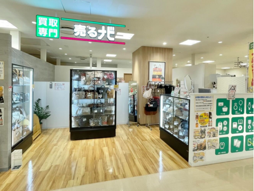 マクロユニバース株式会社の求人・転職情報