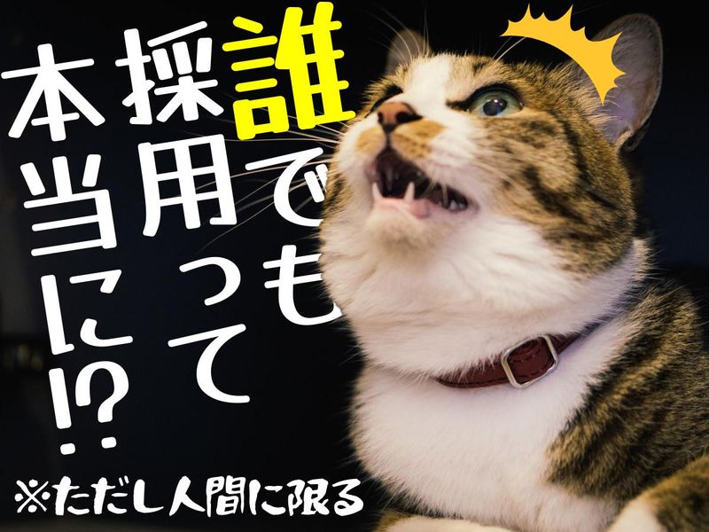 東葉警備保障株式会社(現場/埼玉県本庄市児玉町小平)のアルバイト・バイト求人情報-02