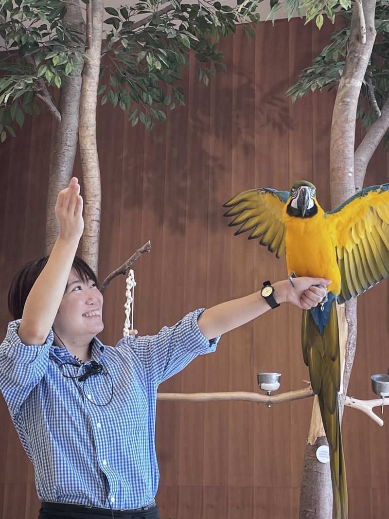 株式会社ＭＯＦＦの求人・転職情報