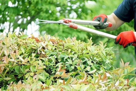 株式会社コントラフト(人材紹介)の求人・転職情報