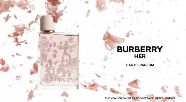 コティジャパン合同会社の求人・転職情報