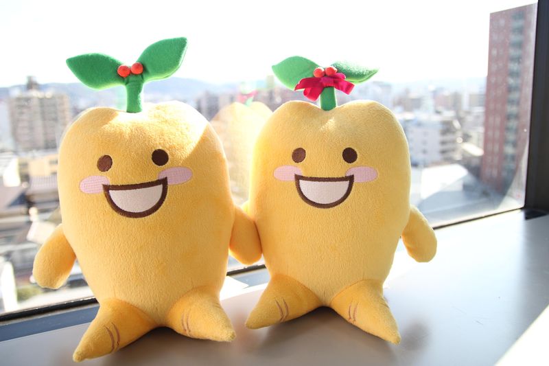 金氏高麗人参株式会社