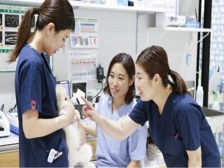 コジマ西新井動物病院のアルバイト・バイト求人情報-02