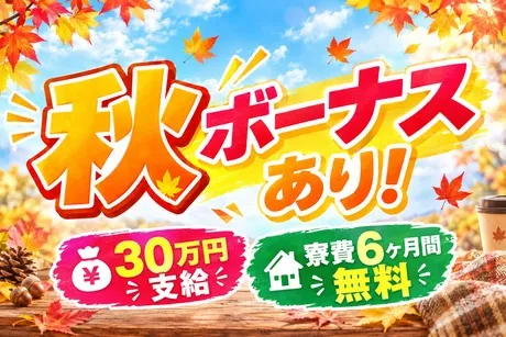 株式会社ヒューマンアイズの求人・転職情報