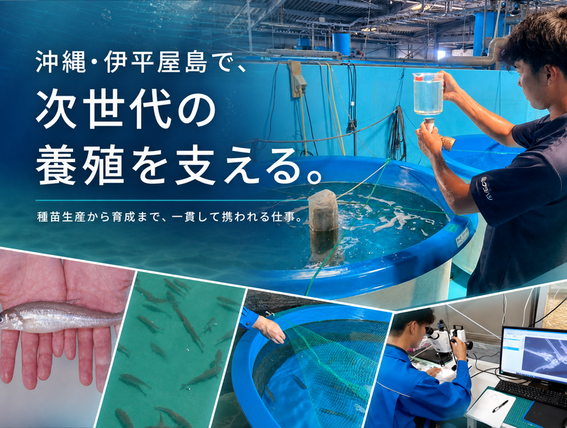 株式会社クラハシの求人・転職情報