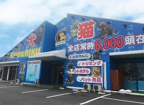 株式会社Coo&RIKU東日本の求人・転職情報