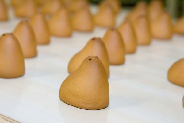 株式会社ひよ子の求人・転職情報