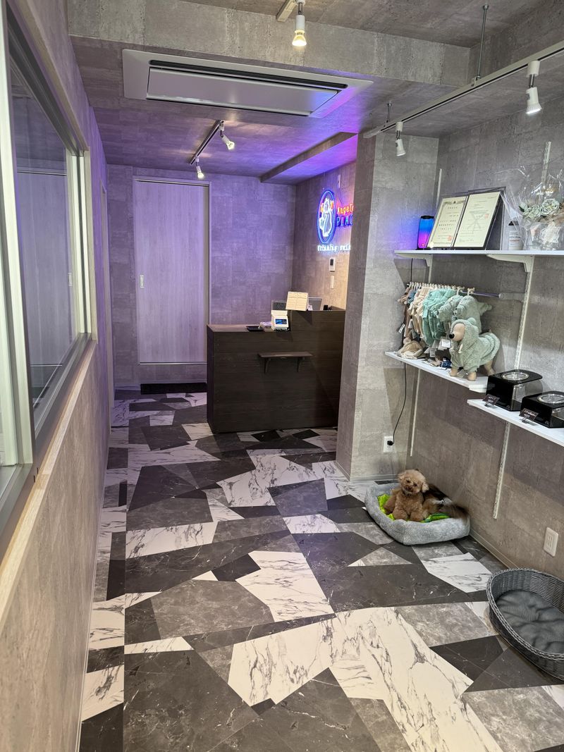 合同会社YUMEの求人・転職情報