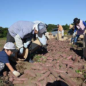 あおぞらファームのアルバイト・バイト求人情報-05