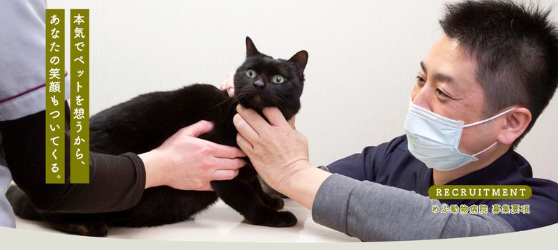 めふ動物病院の求人・転職情報