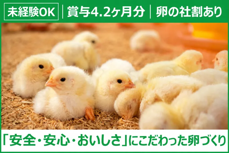 株式会社高井養鶏の求人・転職情報