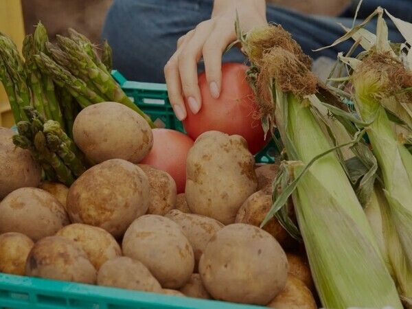 相馬商事株式会社の求人・転職情報