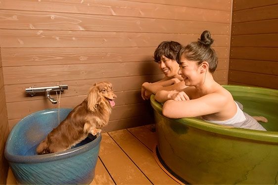 ＧＥＮＳＥＮ　ＨＯＬＤＩＮＧＳ株式会社の求人・転職情報