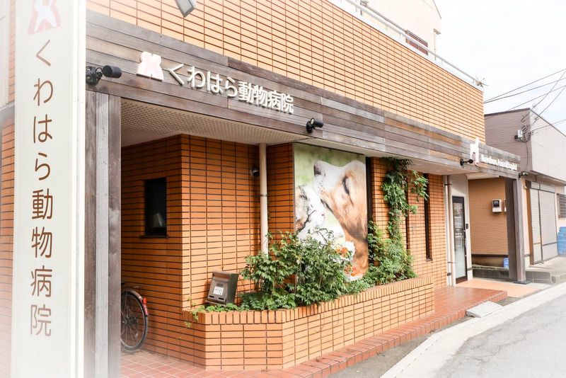 桑原動物病院のアルバイト・バイト求人情報-05