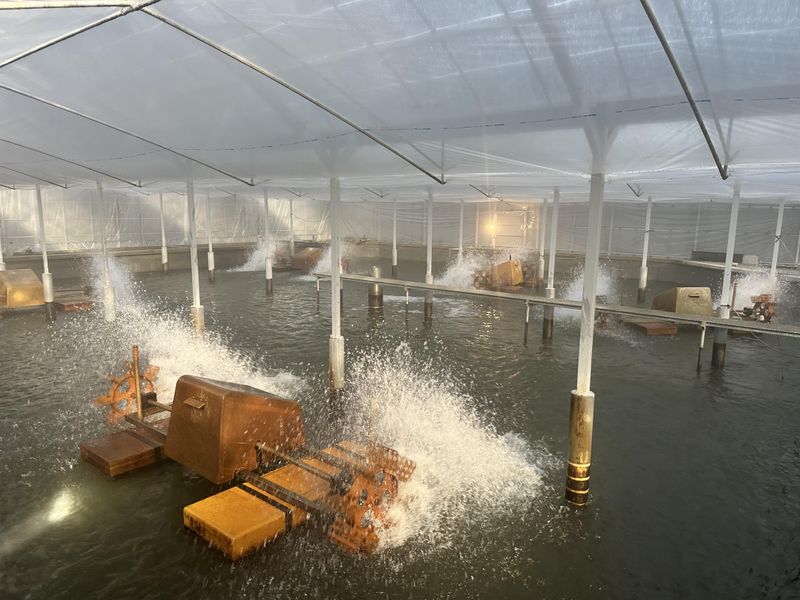 有限会社青木養鰻場の求人・転職情報