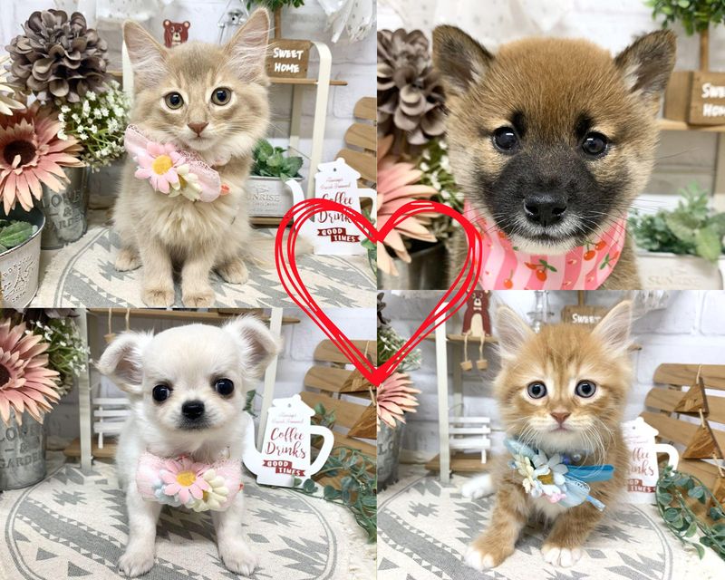 ディスワン　富士宮店のアルバイト・バイト求人情報-02