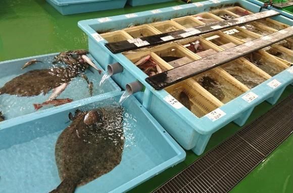 株式会社千里　寿司居酒屋 いろは茶家のアルバイト・バイト求人情報-02