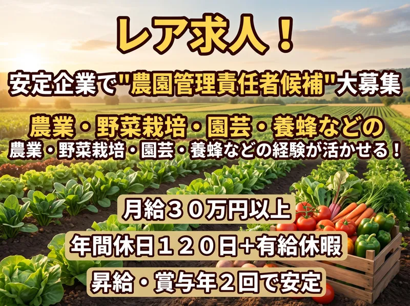 株式会社ヨシムラの求人・転職情報