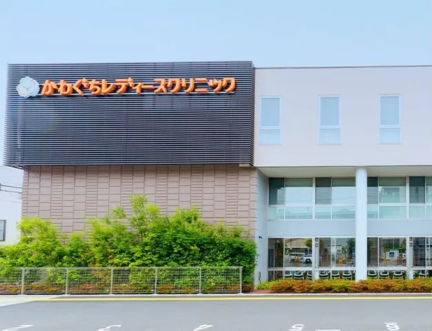 医療法人社団紡世会　かわぐちレディースクリニックのアルバイト・バイト求人情報