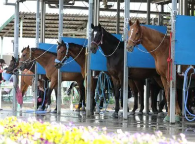 乗馬クラブクレイン東広島のアルバイト・バイト求人情報-03