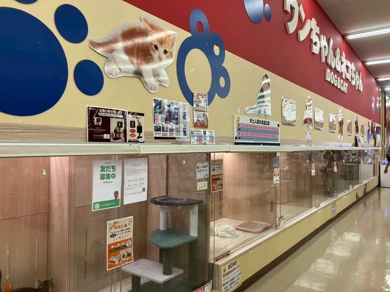 OneBuddy大津店のアルバイト・バイト求人情報-02